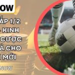 Kèo Chấp 1/2 13Win – Kinh Nghiệm Cược Hiệu Quả Cho Người Mới